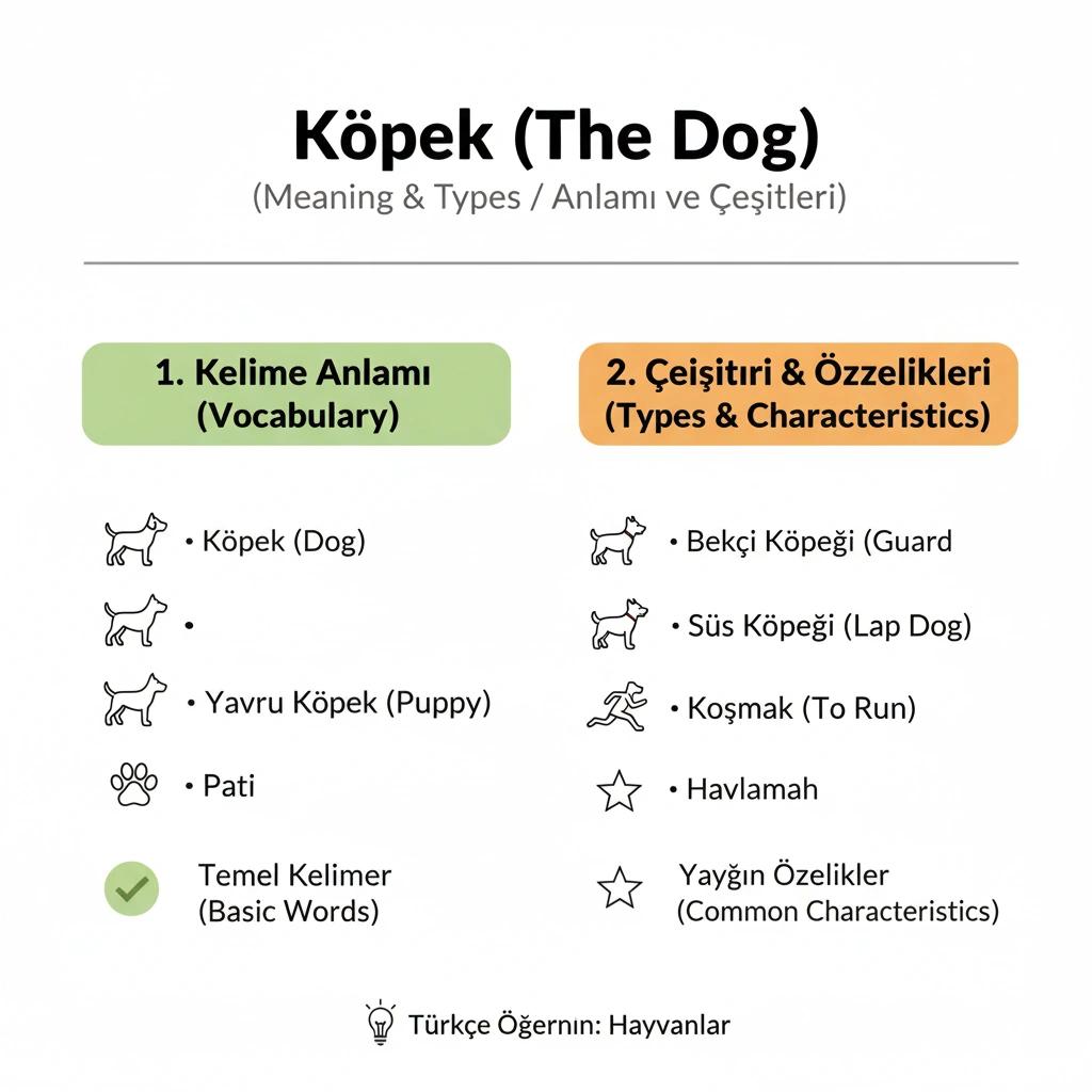 سگ به ترکی استانبولی: از Köpek تا جملات و دستورات کاربردی 2 سگ به ترکی استانبولی