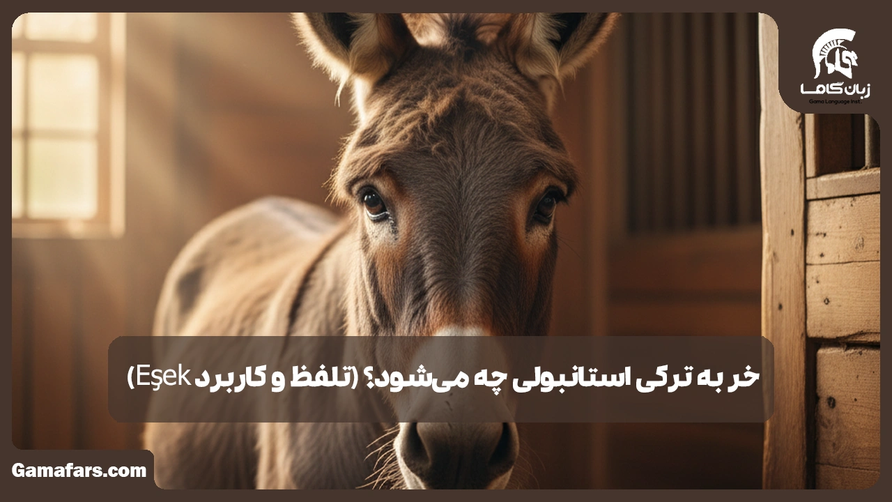 آموزشگاه زبان در شیراز