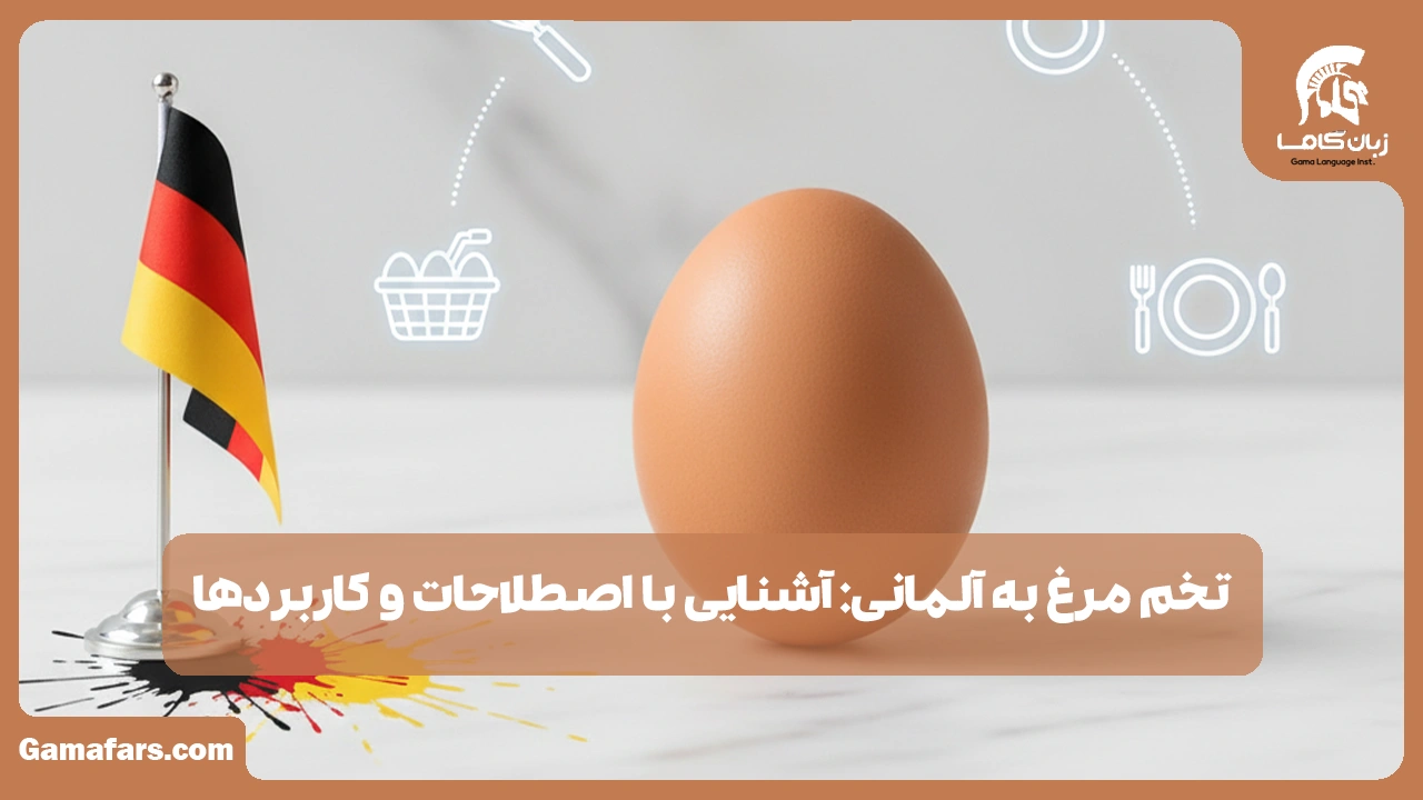 آموزشگاه زبان در شیراز