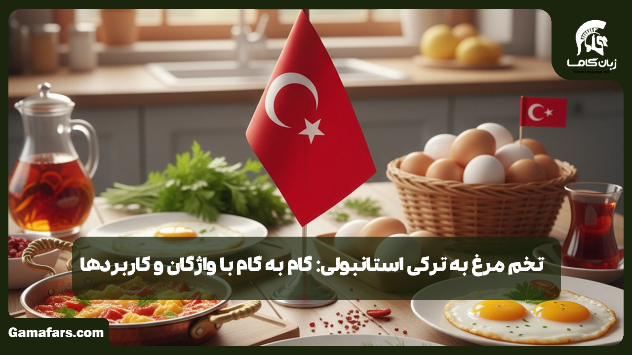 آموزشگاه زبان در شیراز