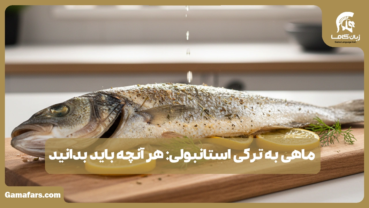 آموزشگاه زبان در شیراز