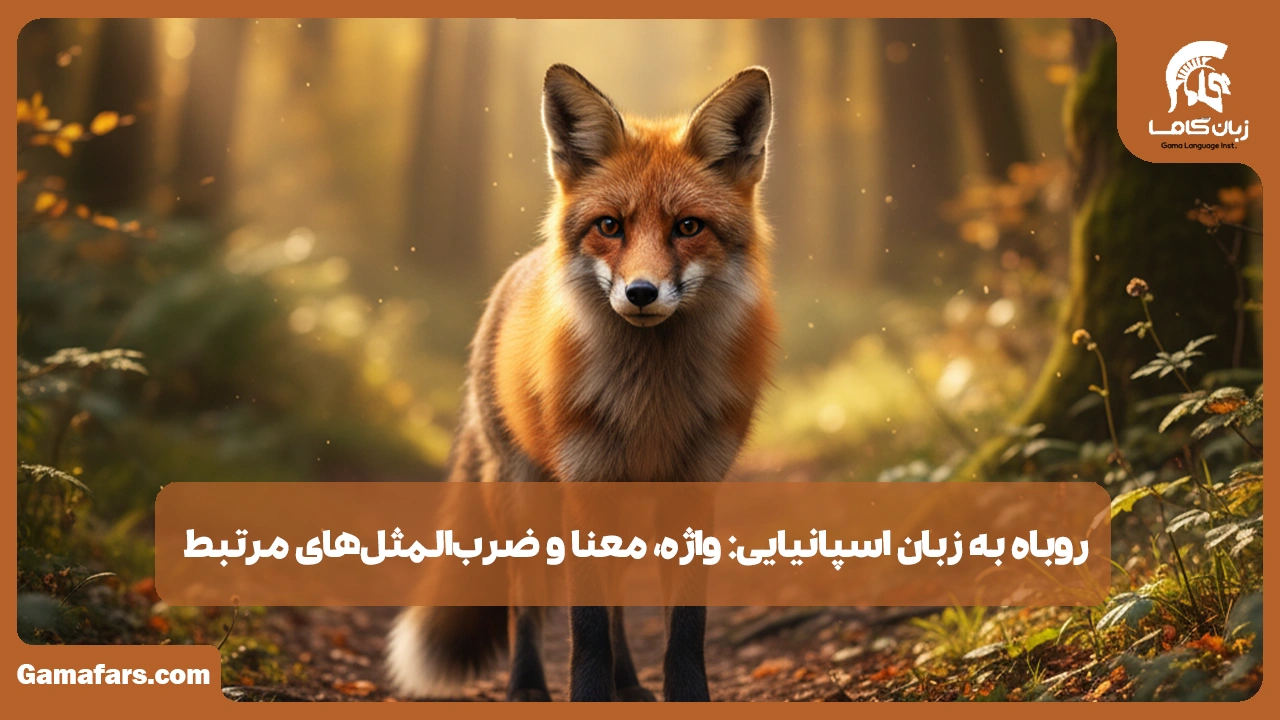 آموزشگاه زبان در شیراز