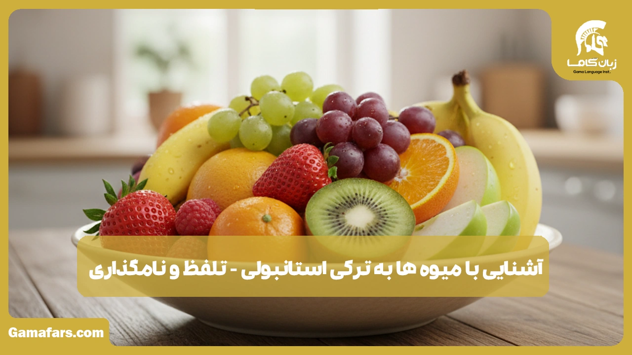 آموزشگاه زبان در شیراز