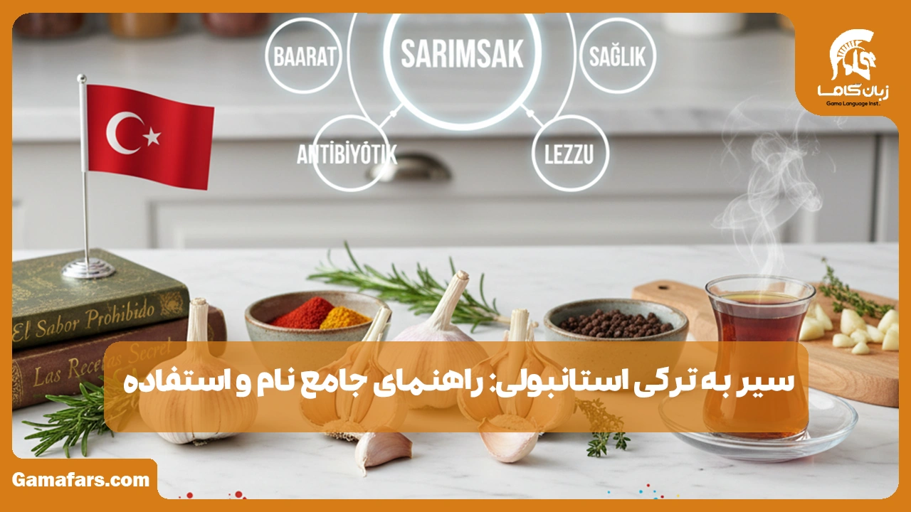 آموزشگاه زبان در شیراز