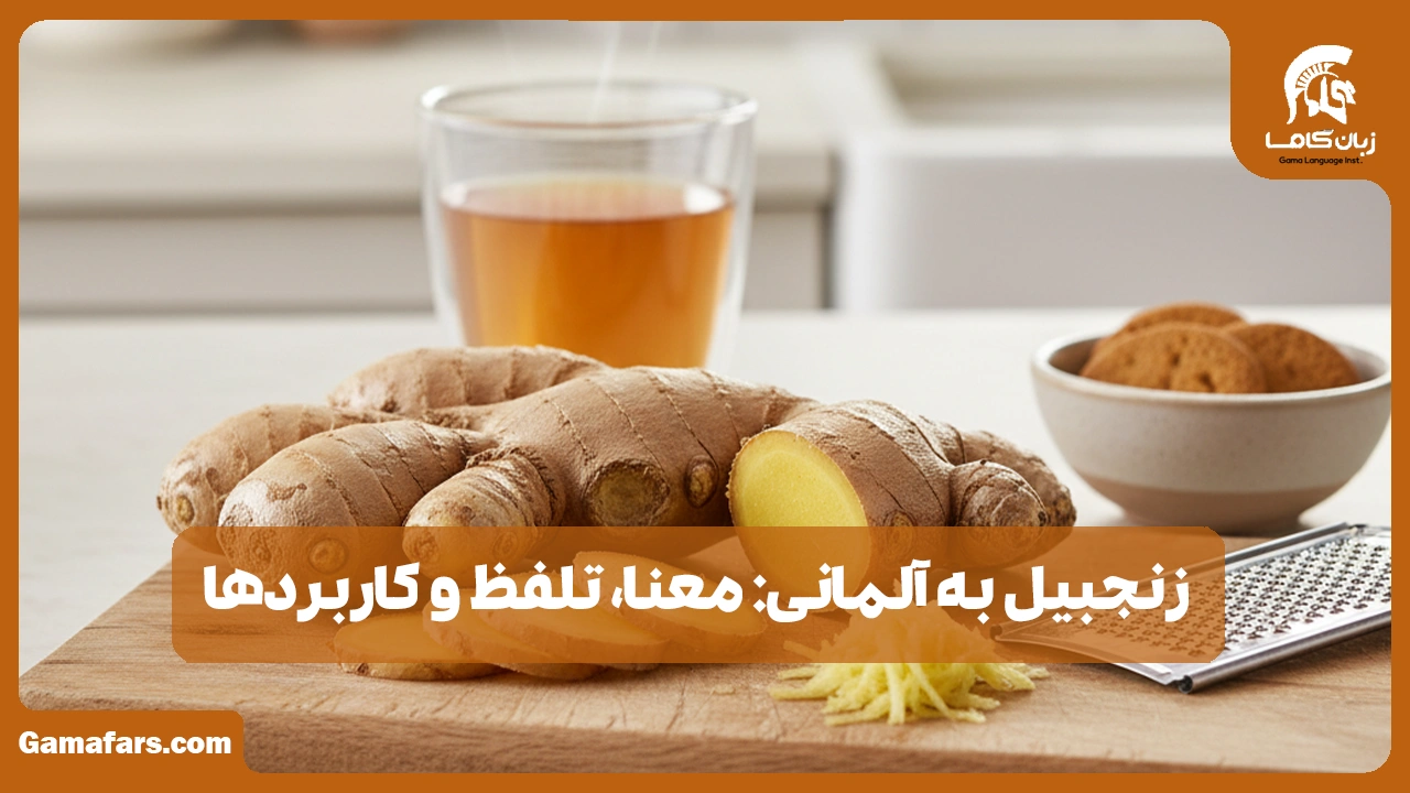 آموزشگاه زبان در شیراز