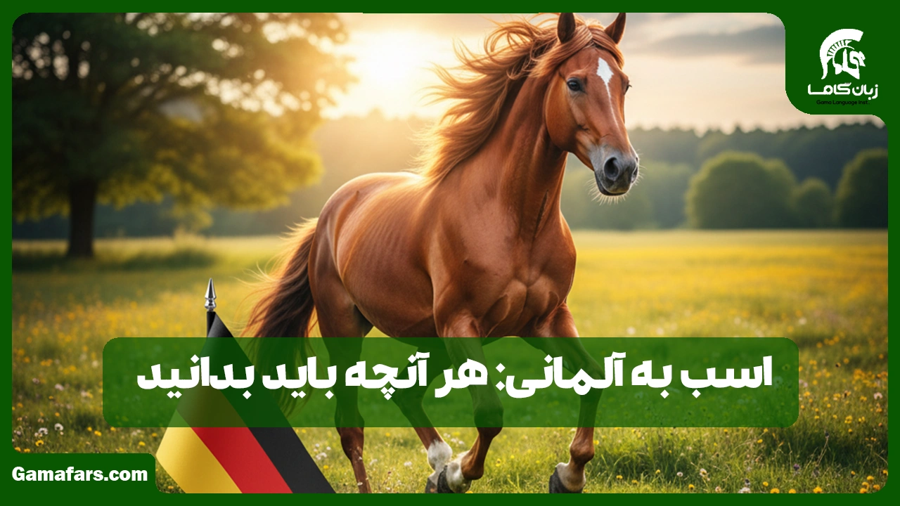 آموزشگاه زبان در شیراز