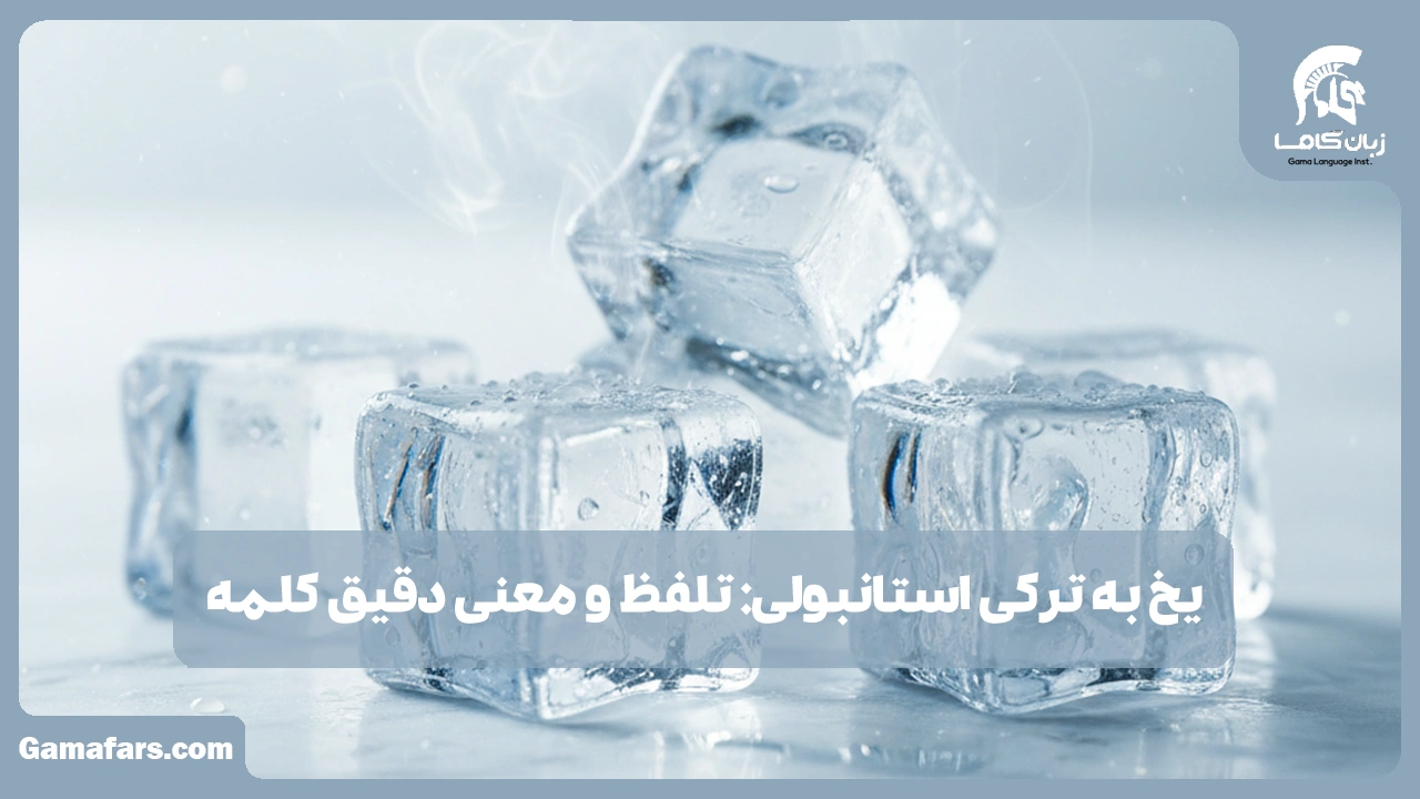 آموزشگاه زبان در شیراز