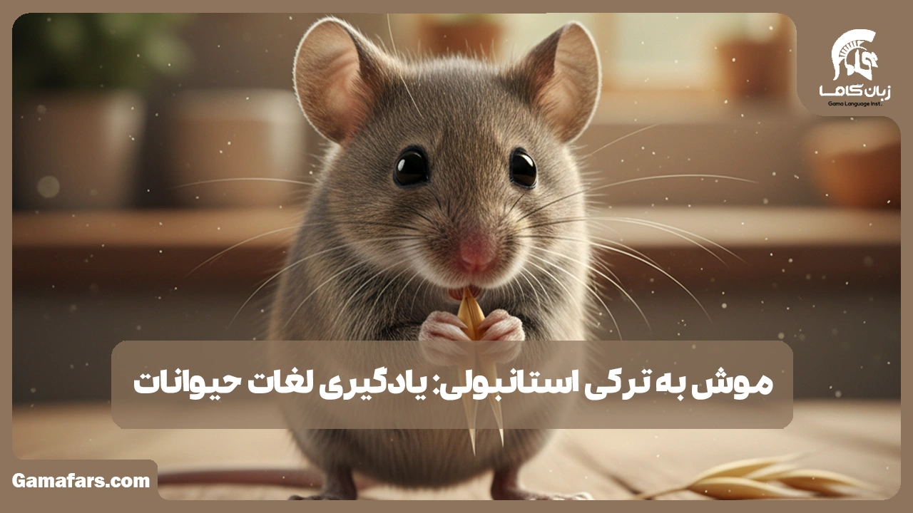آموزشگاه زبان در شیراز