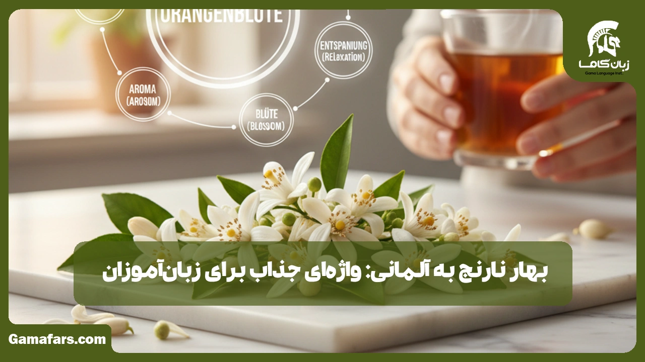 آموزشگاه زبان در شیراز