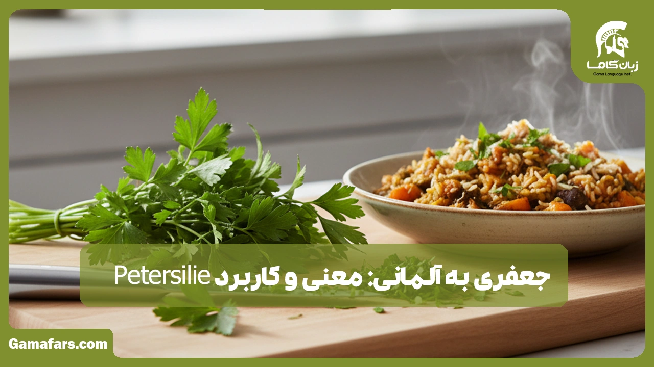 آموزشگاه زبان در شیراز