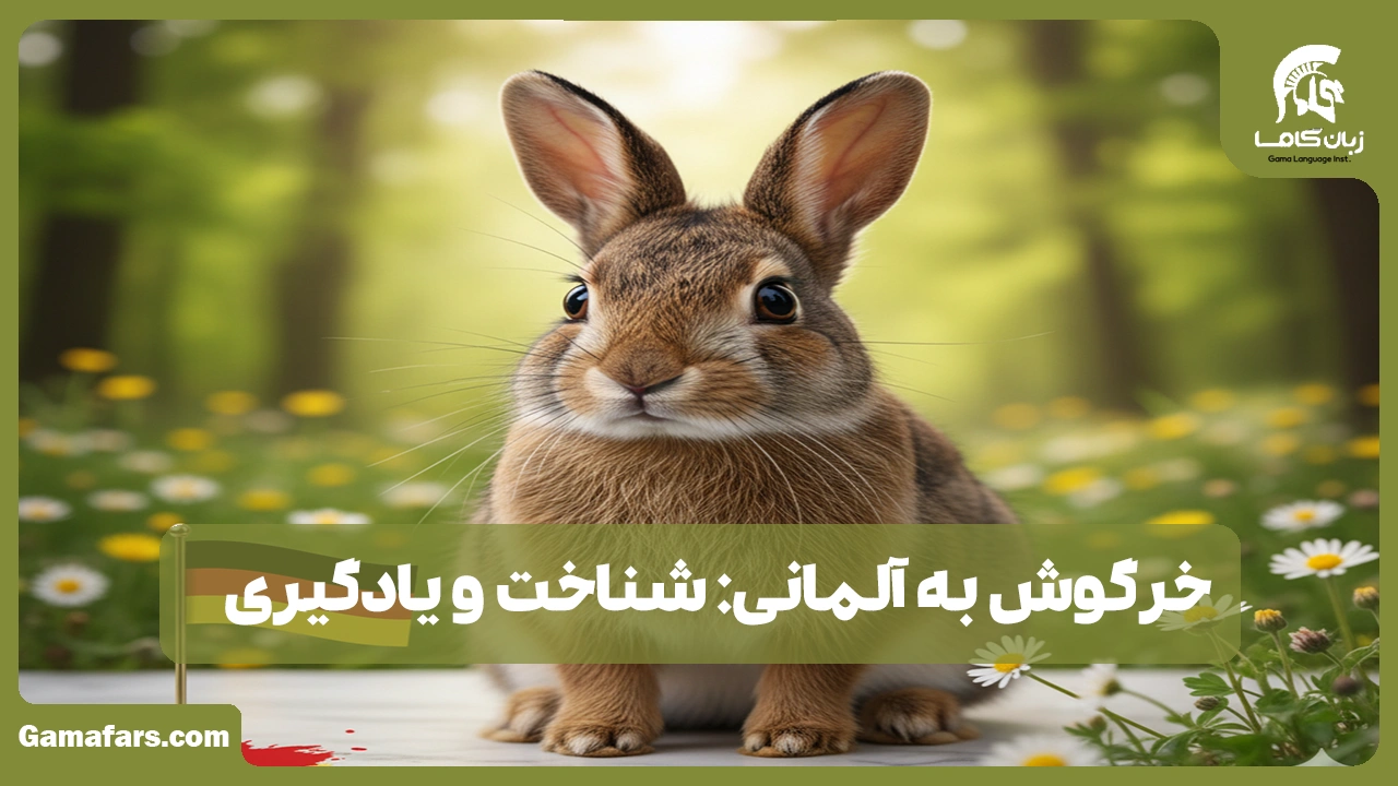 آموزشگاه زبان در شیراز