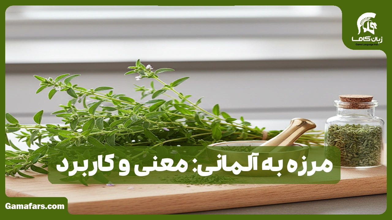 آموزشگاه زبان در شیراز