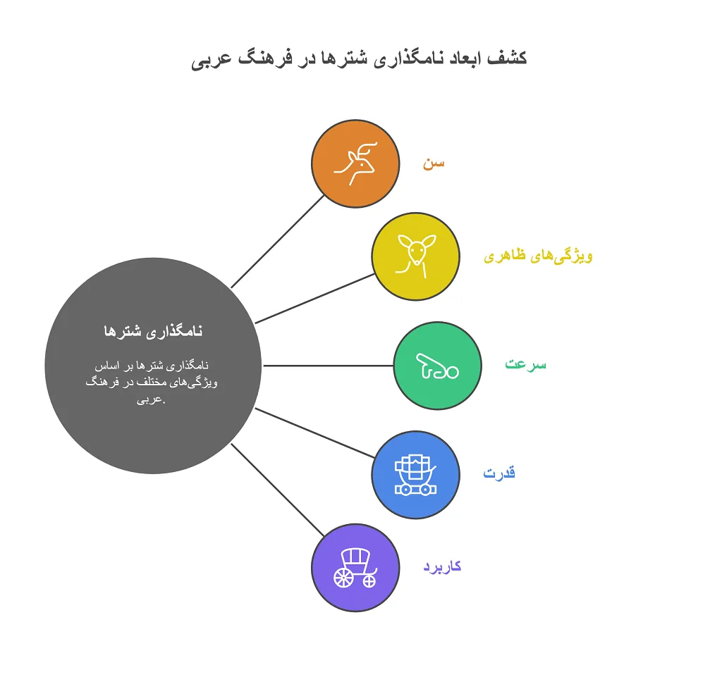 شتر به عربی: نامها و کاربردهای آن 1 شتر به عربی