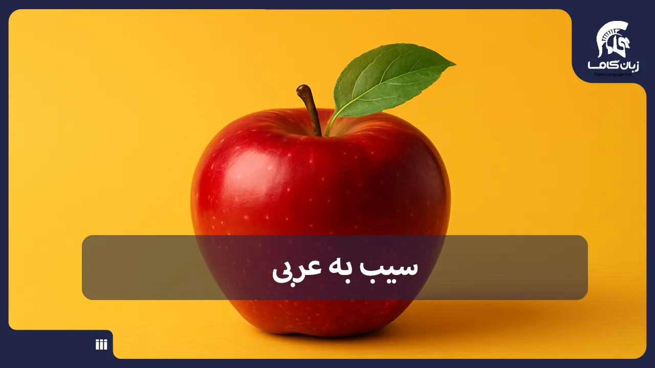 آموزشگاه زبان در شیراز