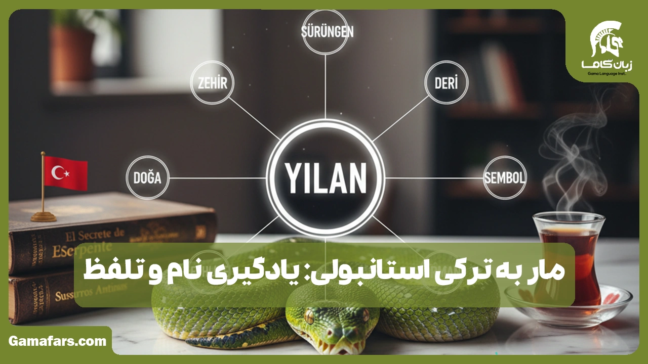 آموزشگاه زبان در شیراز