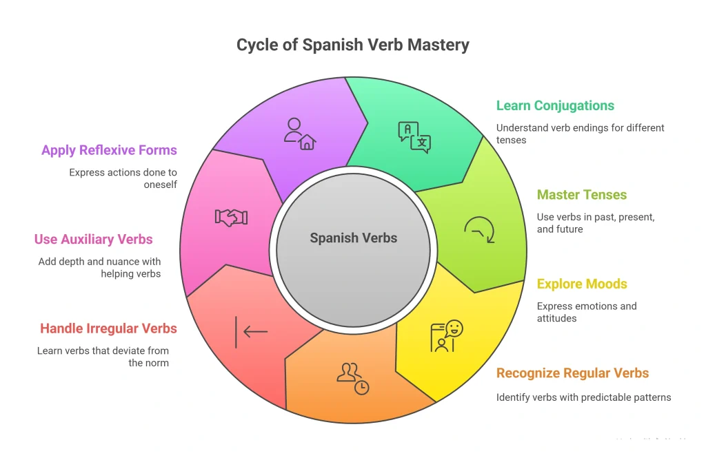 افعال در زبان اسپانیایی: درک، صرف و مثالها 2 افعال در زبان اسپانیایی