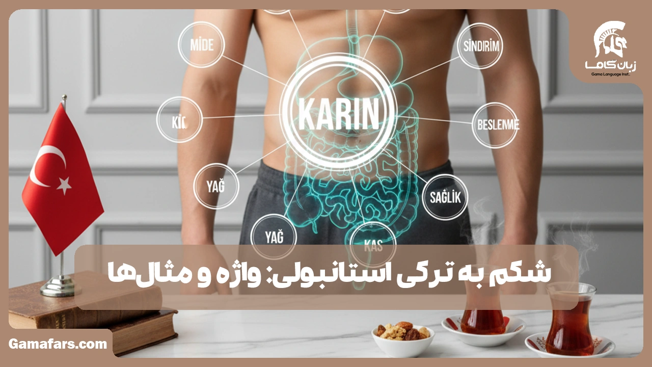 آموزشگاه زبان در شیراز