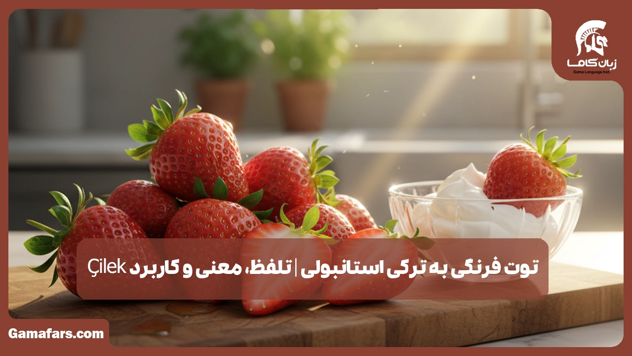 آموزشگاه زبان در شیراز