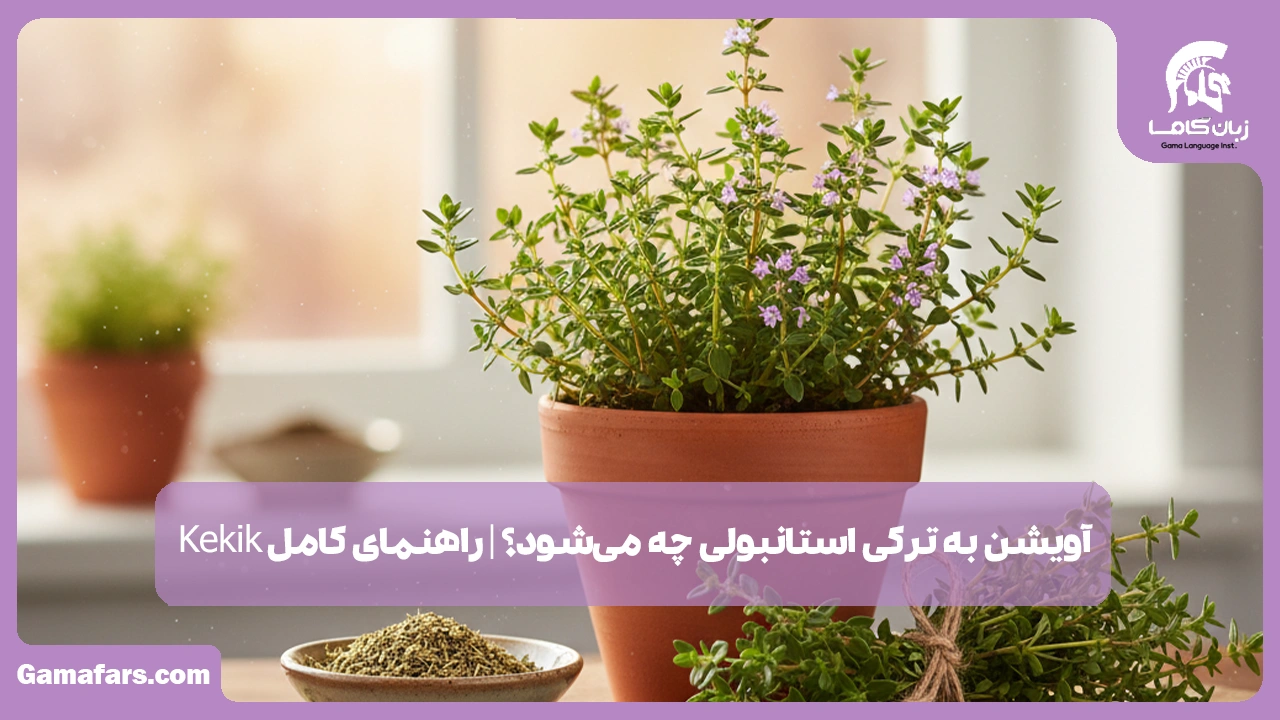 آموزشگاه زبان در شیراز