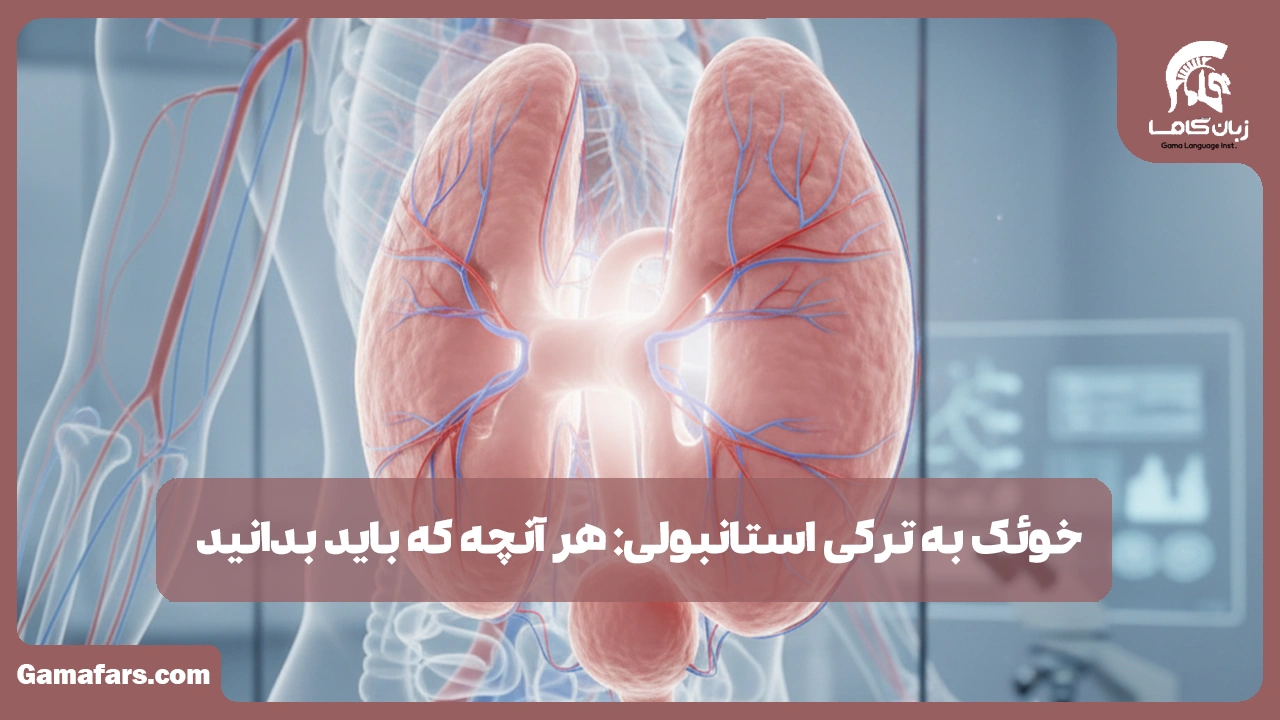 آموزشگاه زبان در شیراز