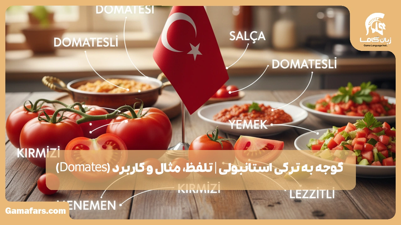 آموزشگاه زبان در شیراز