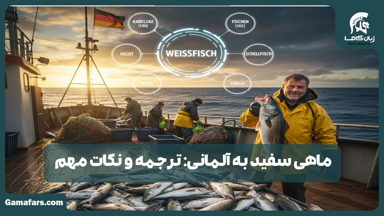 آموزشگاه زبان در شیراز