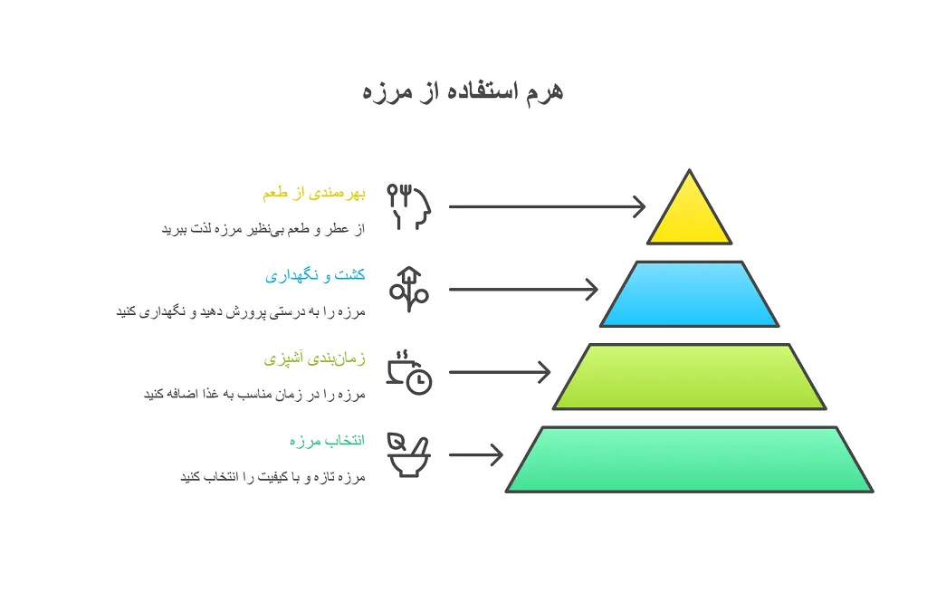 مرزه به آلمانی: معنی و کاربردهای آن 1 مرزه به آلمانی