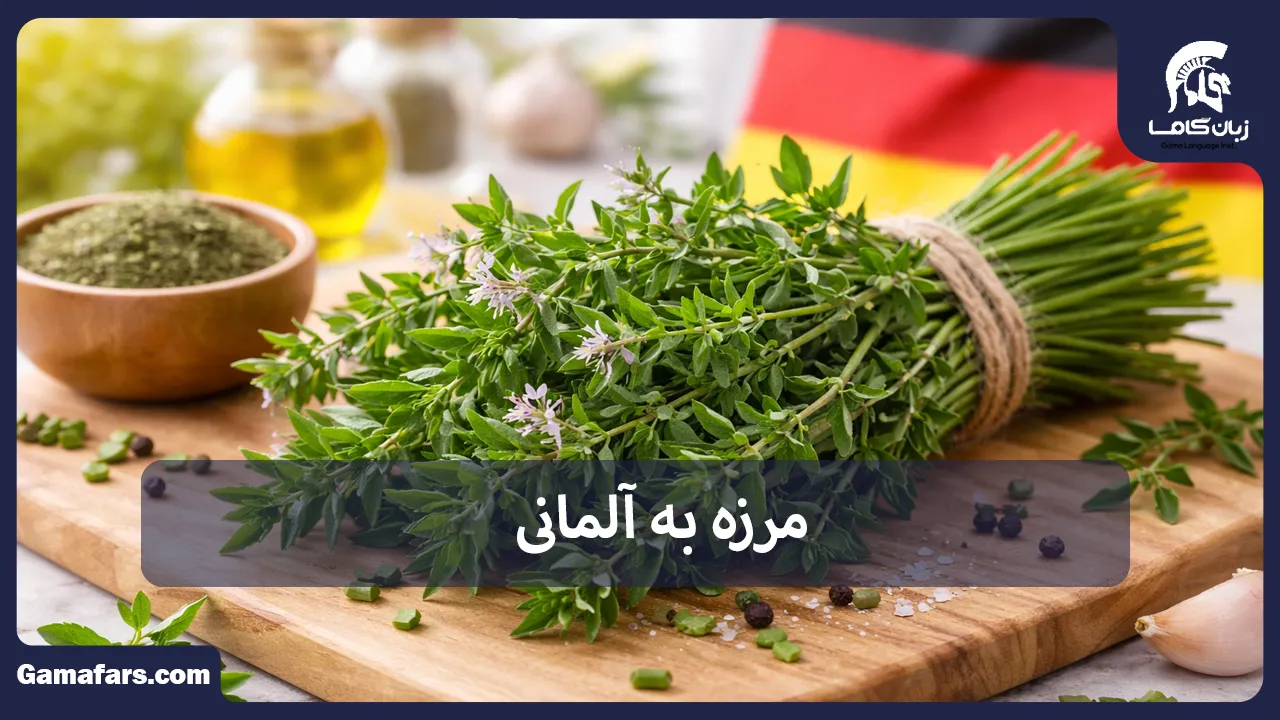 مرزه به آلمانی