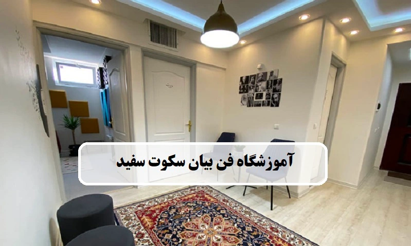 آموزشگاه فن بیان سکوت سفید